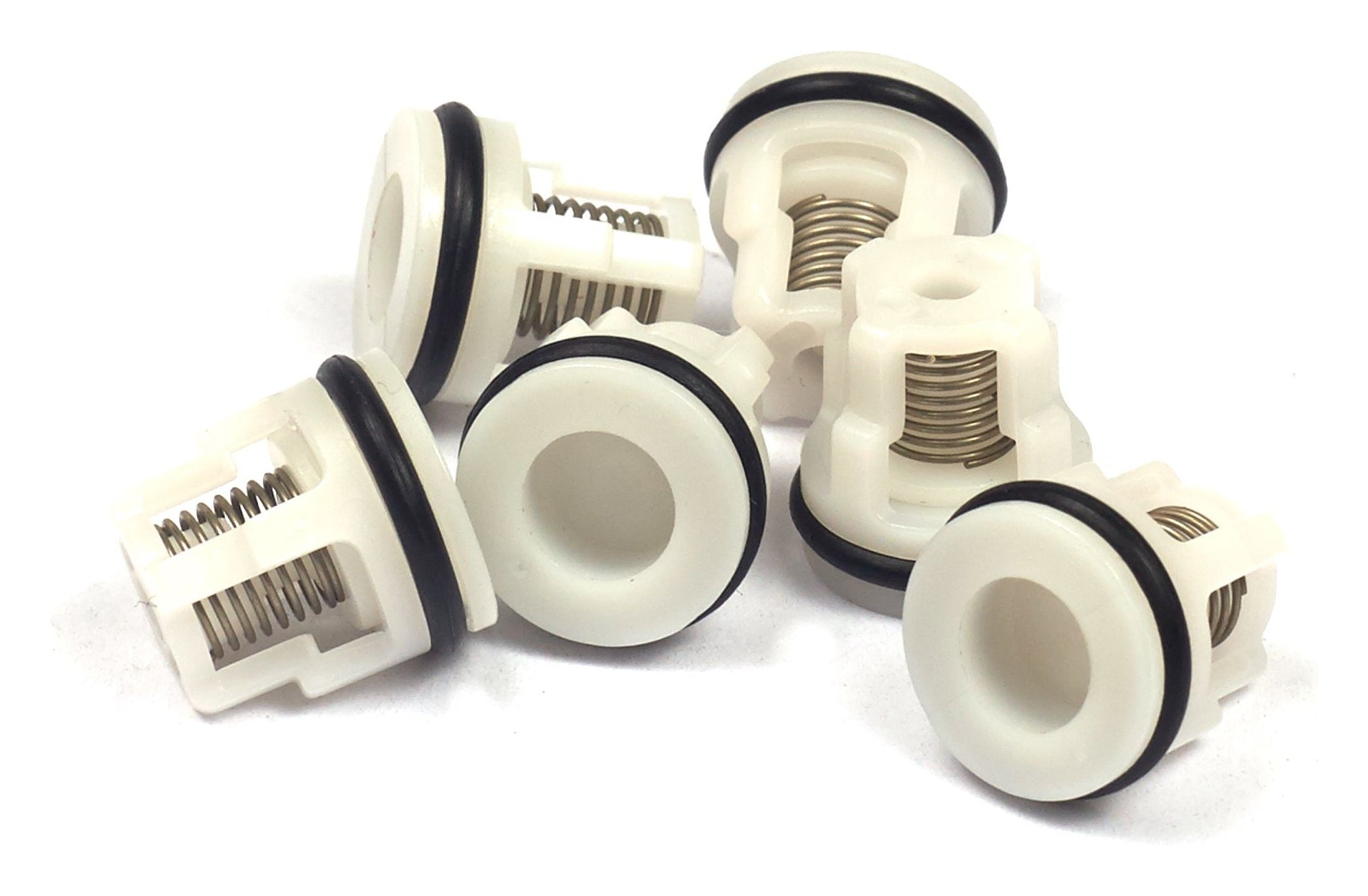 200344GS Check Valve Kit