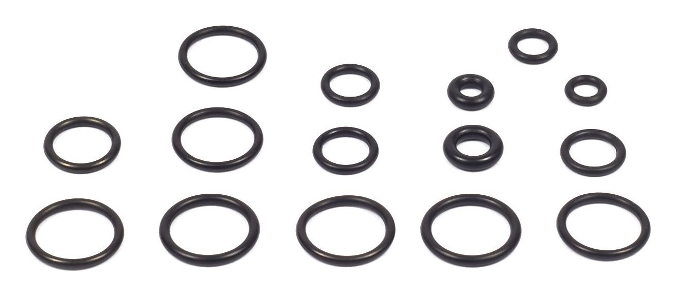 200346GS O-Ring Kit