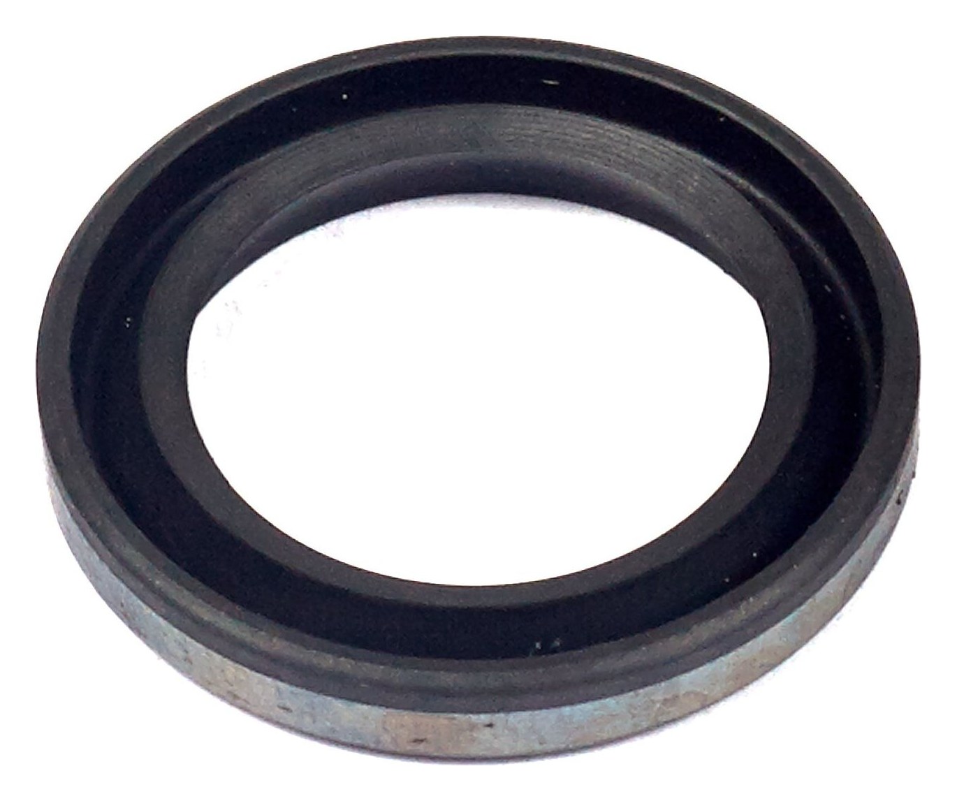 299819S Oil Seal