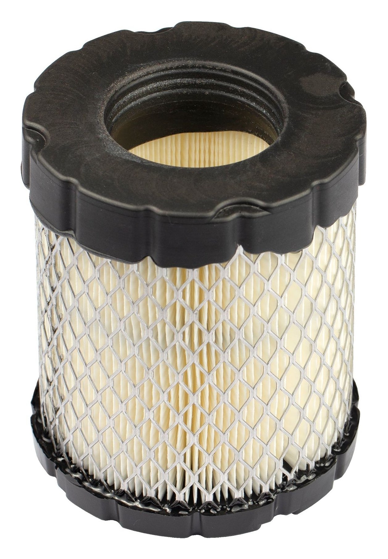 4250 Air Filter (5 x 798897)