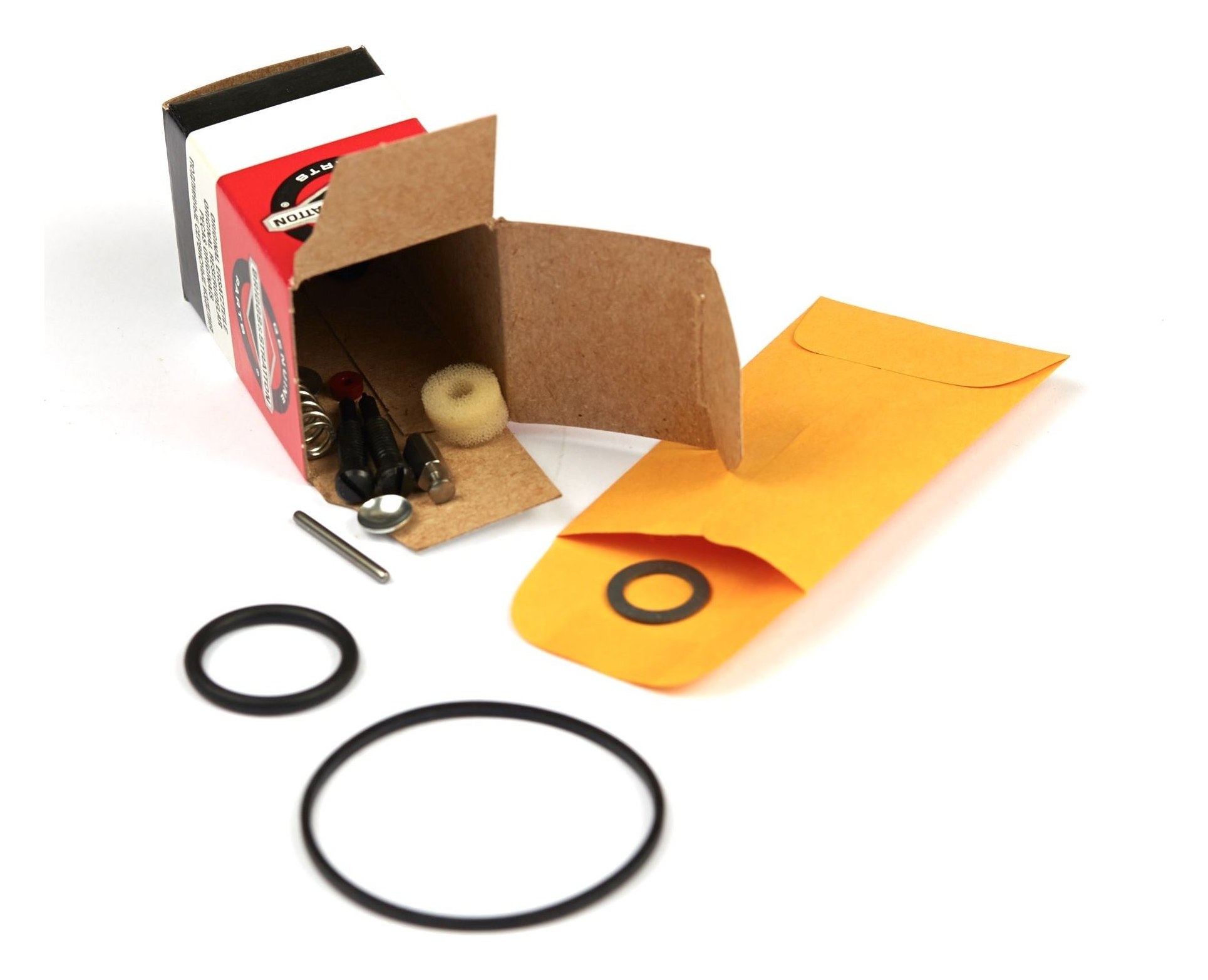 494349 Carburetor Overhaul Kit