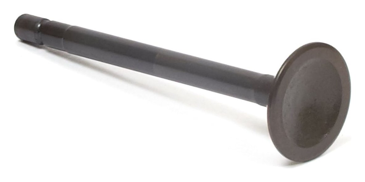 555552 Exhaust Valve