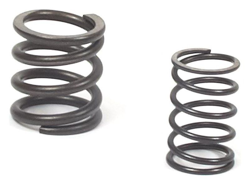 557024 Valve Spring