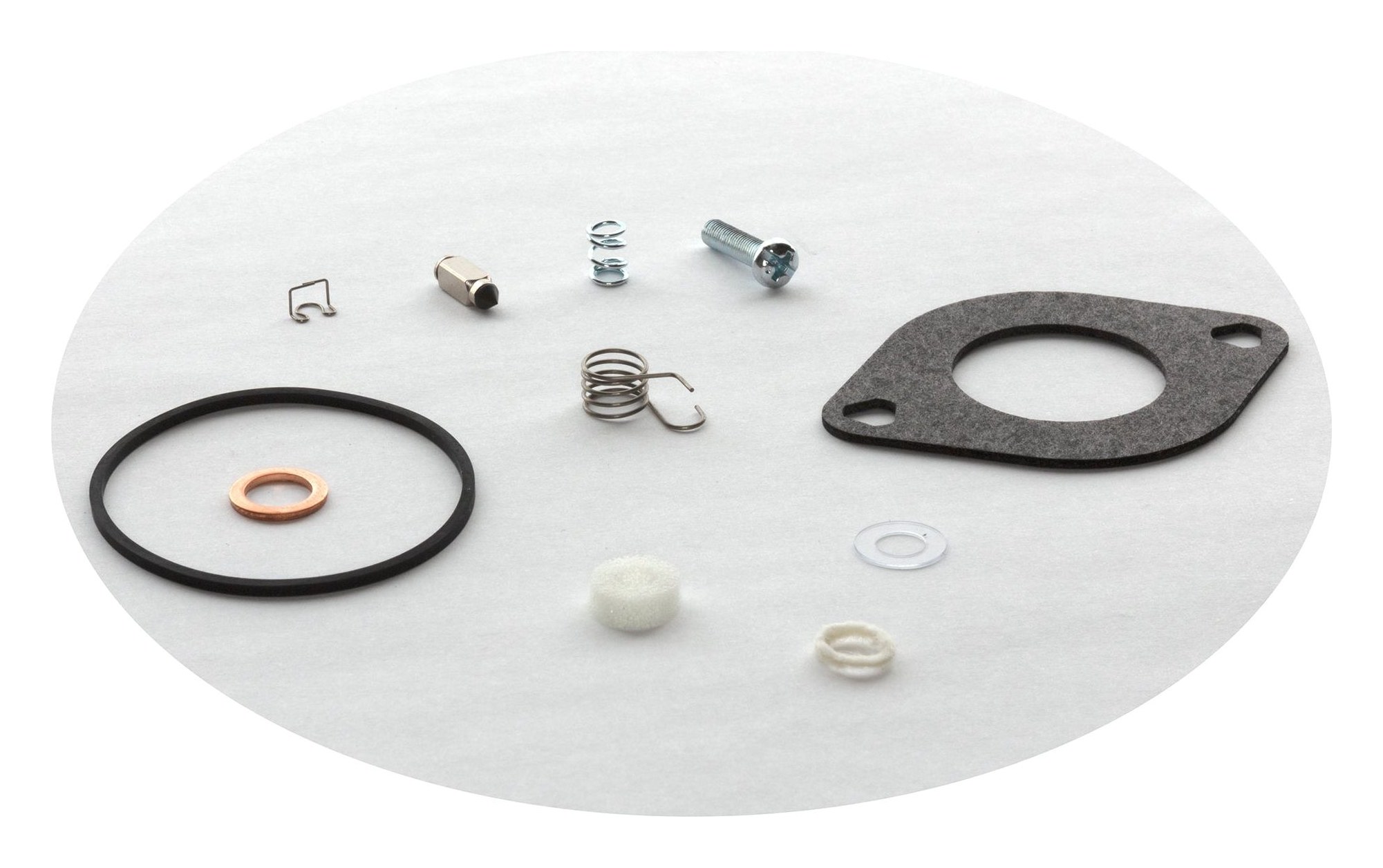 594886 Carburetor Overhaul Kit