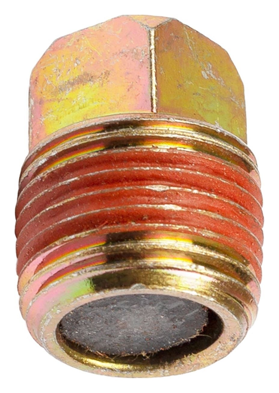 690289 Oil Drain Plug