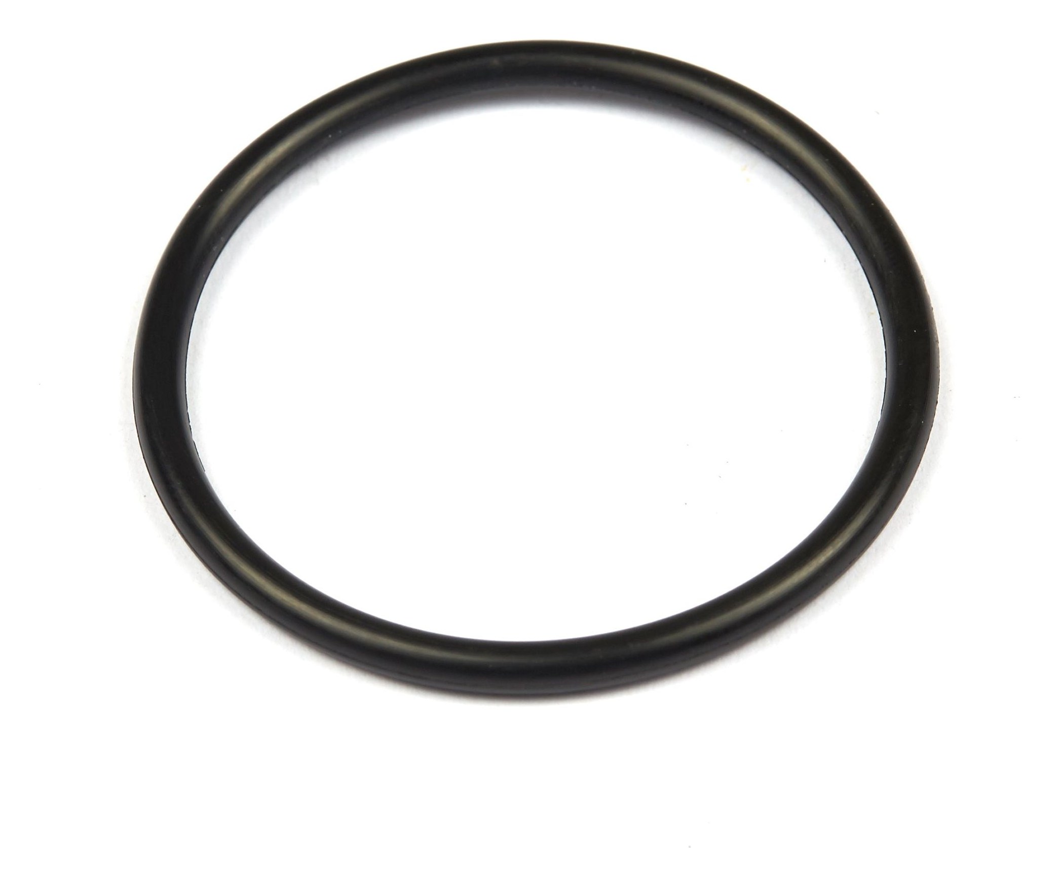 690589 O-Ring Seal