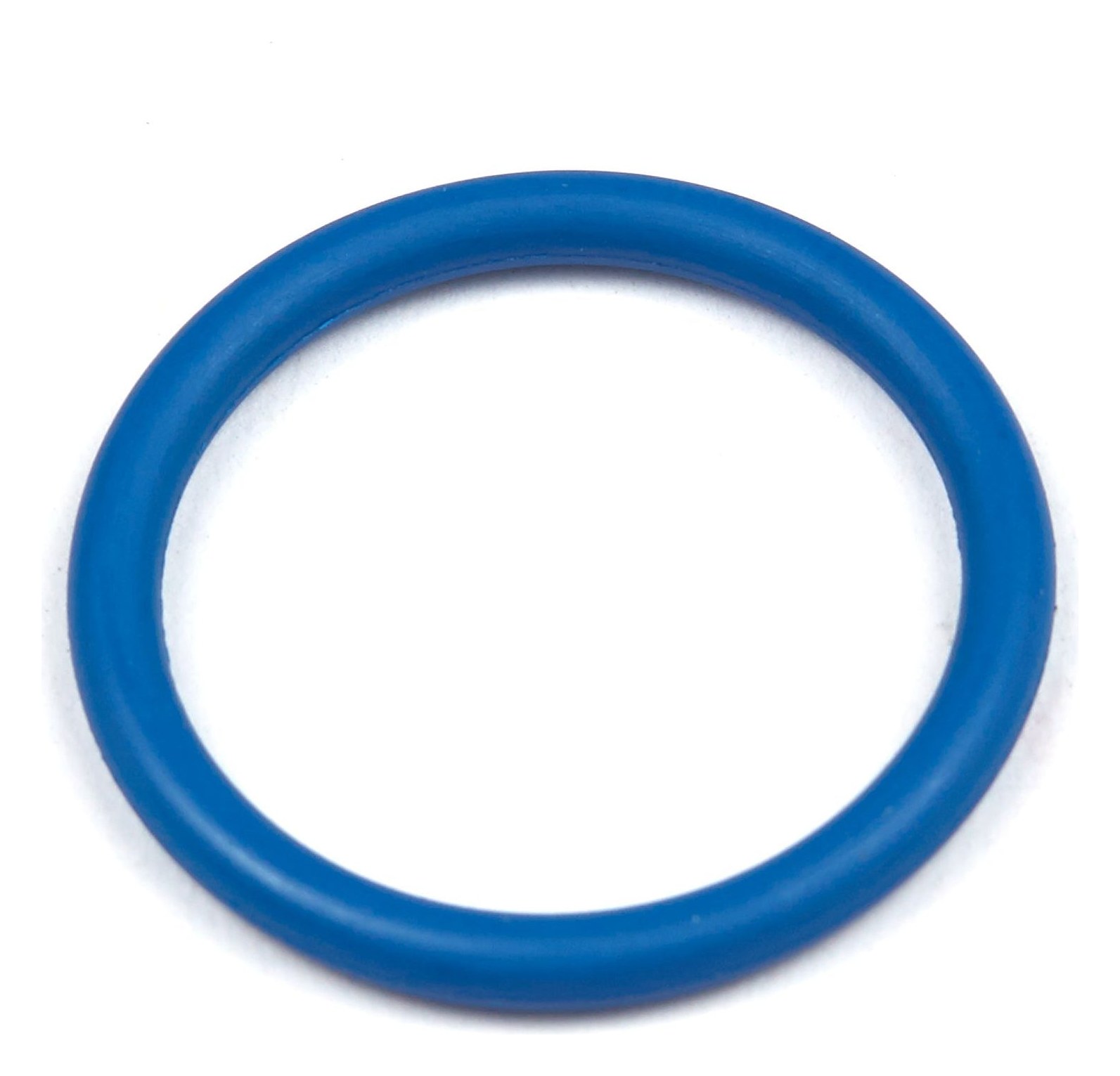 691031 O-Ring Seal