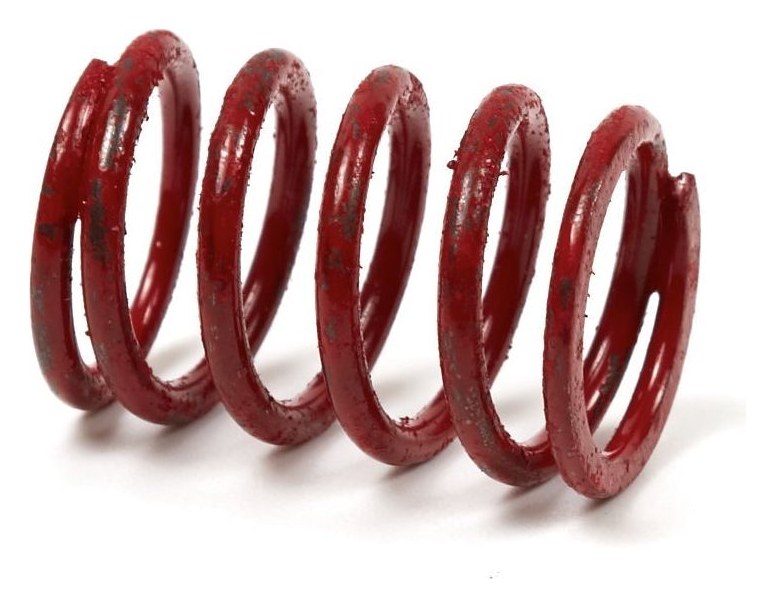 691597 Valve Spring