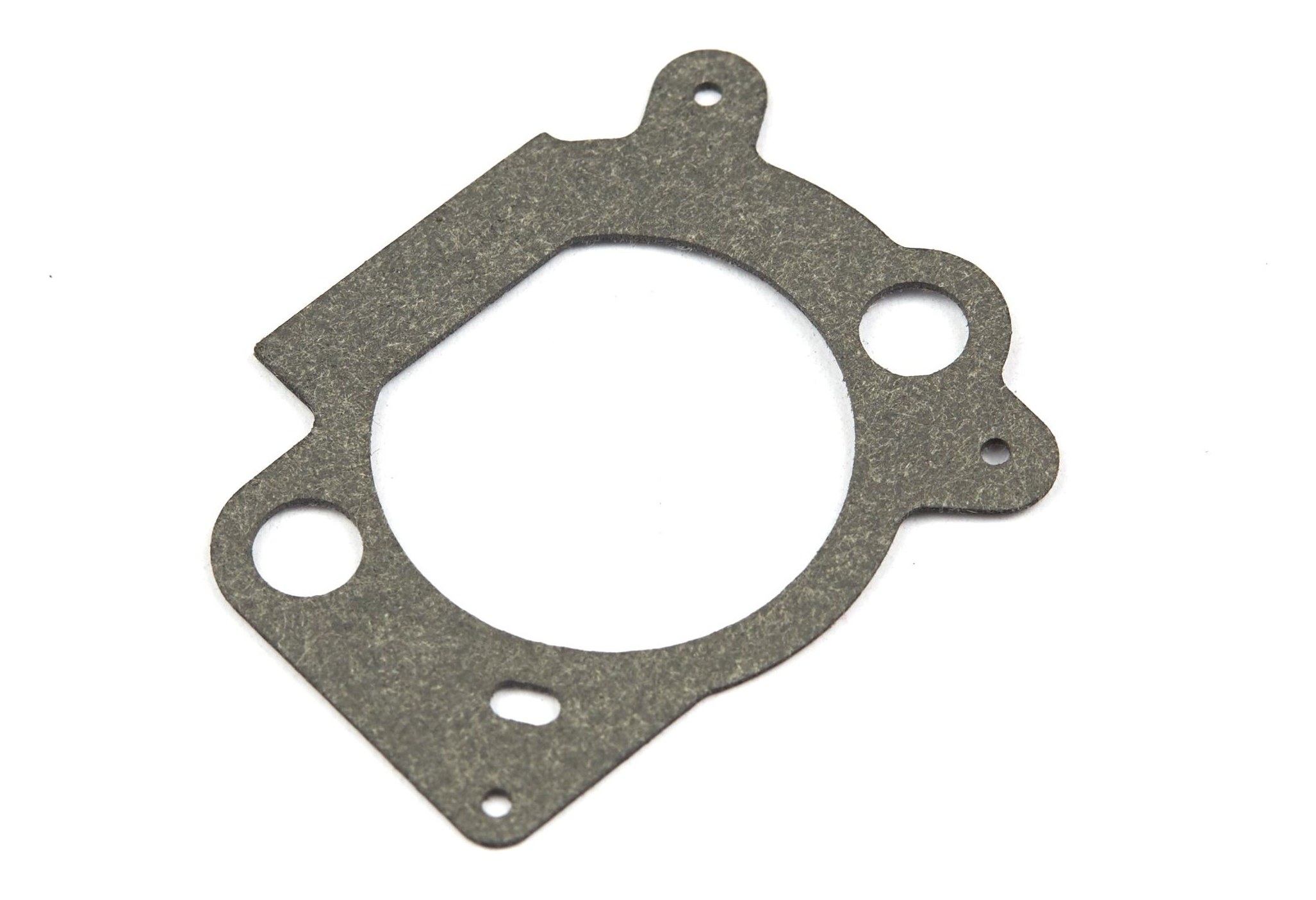 691894 Air Cleaner Gasket