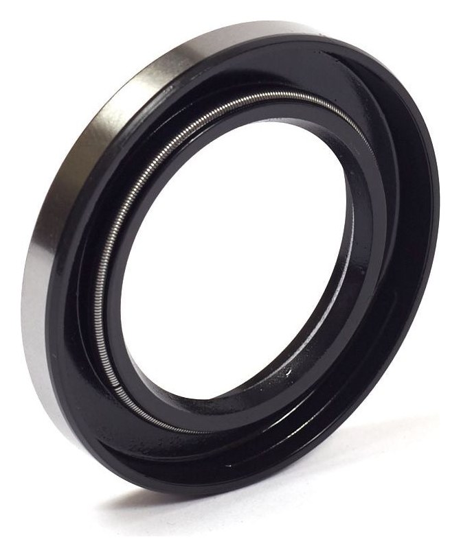 691948 Oil Seal