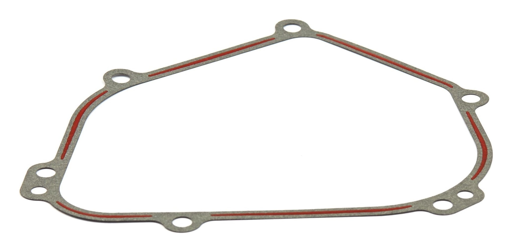 699485 Crankcase Gasket