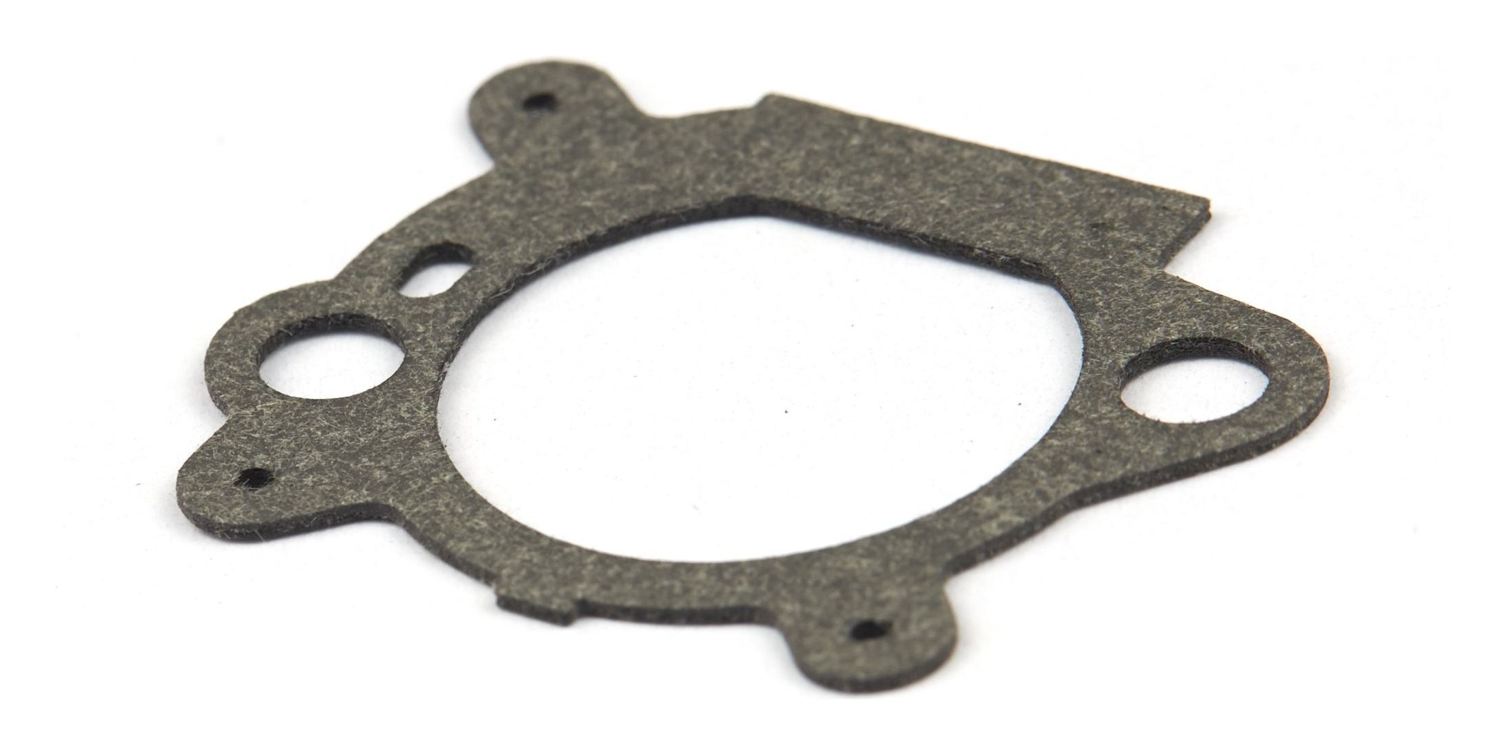 795629 Air Cleaner Gasket