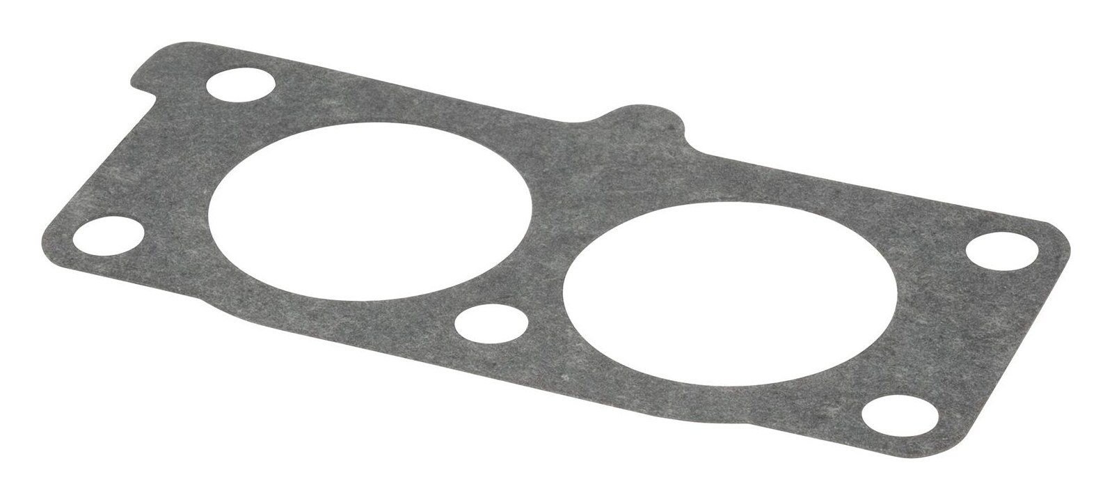 841882 Intake Gasket