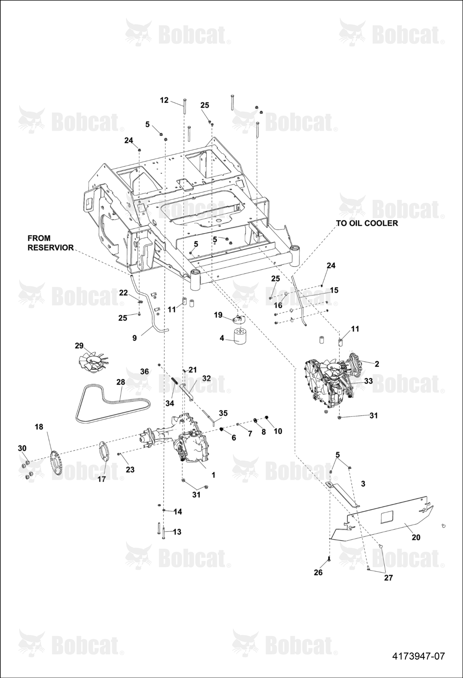 Belt-Ha 54.80
