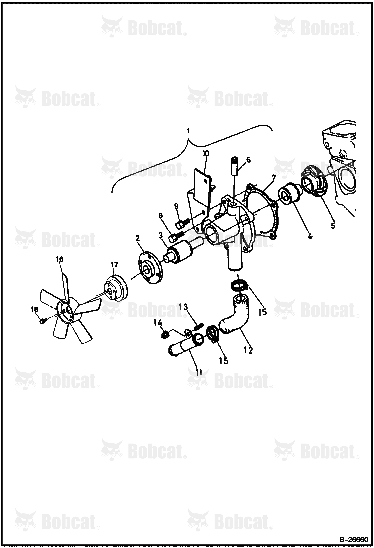 Gasket, Pump Water