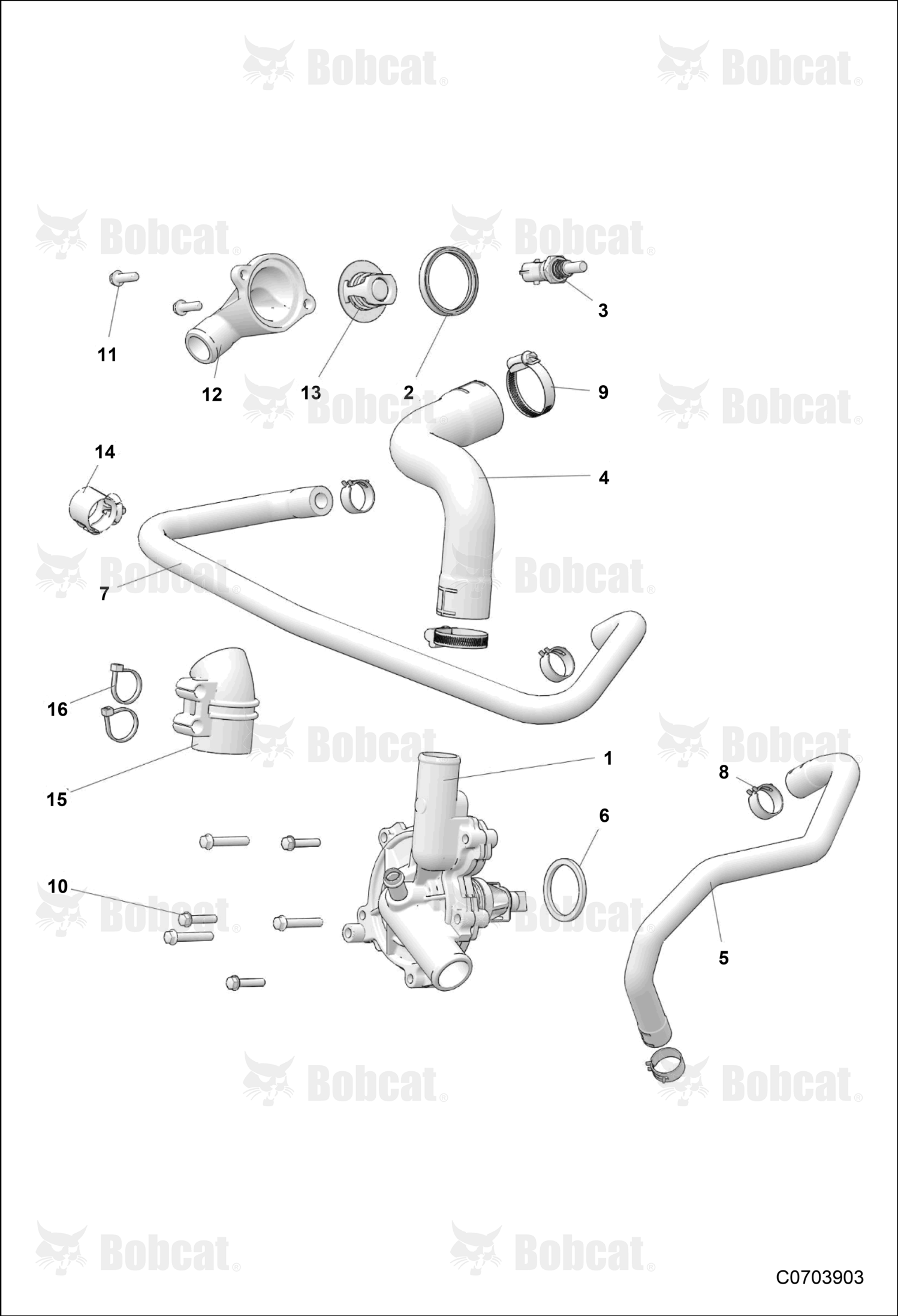 Support Stator