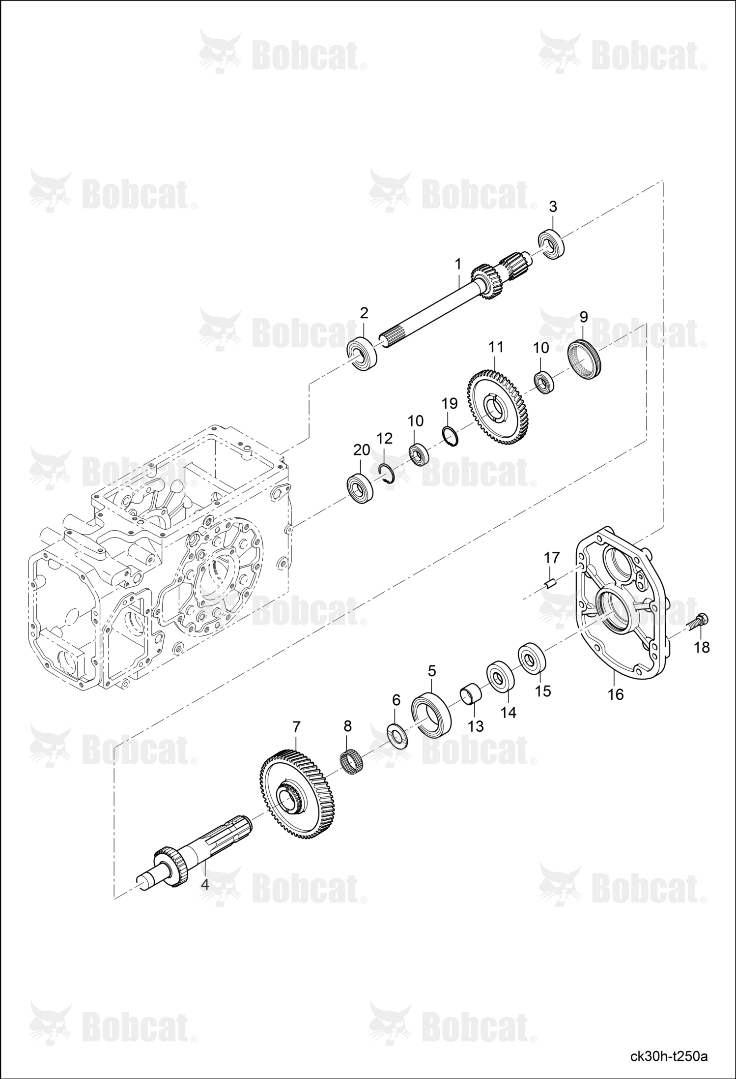 Bearing Needle