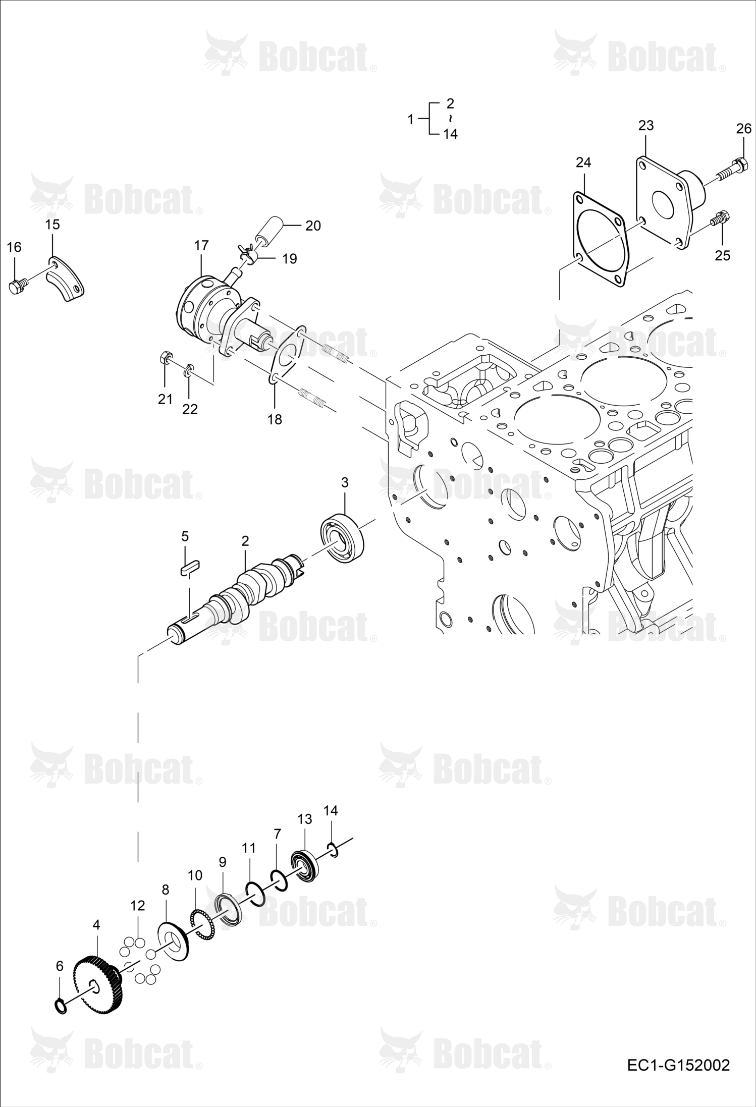 Bearing (6004C3)