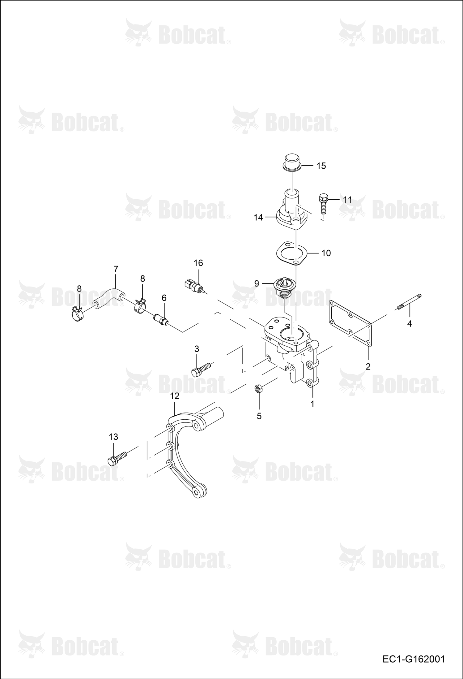 Gasket, Water Flange