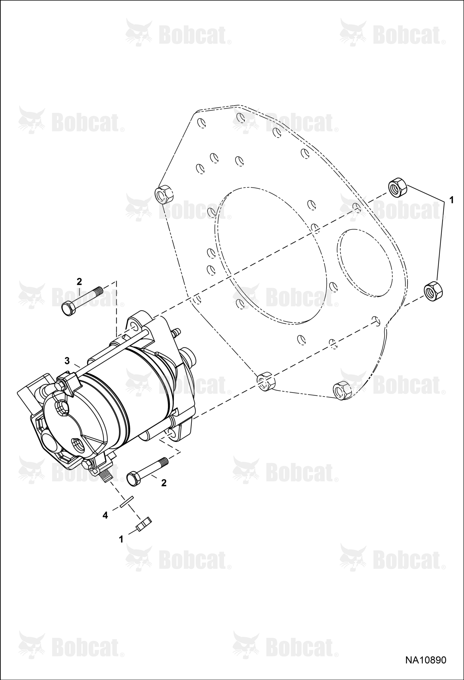 Starter Assembly