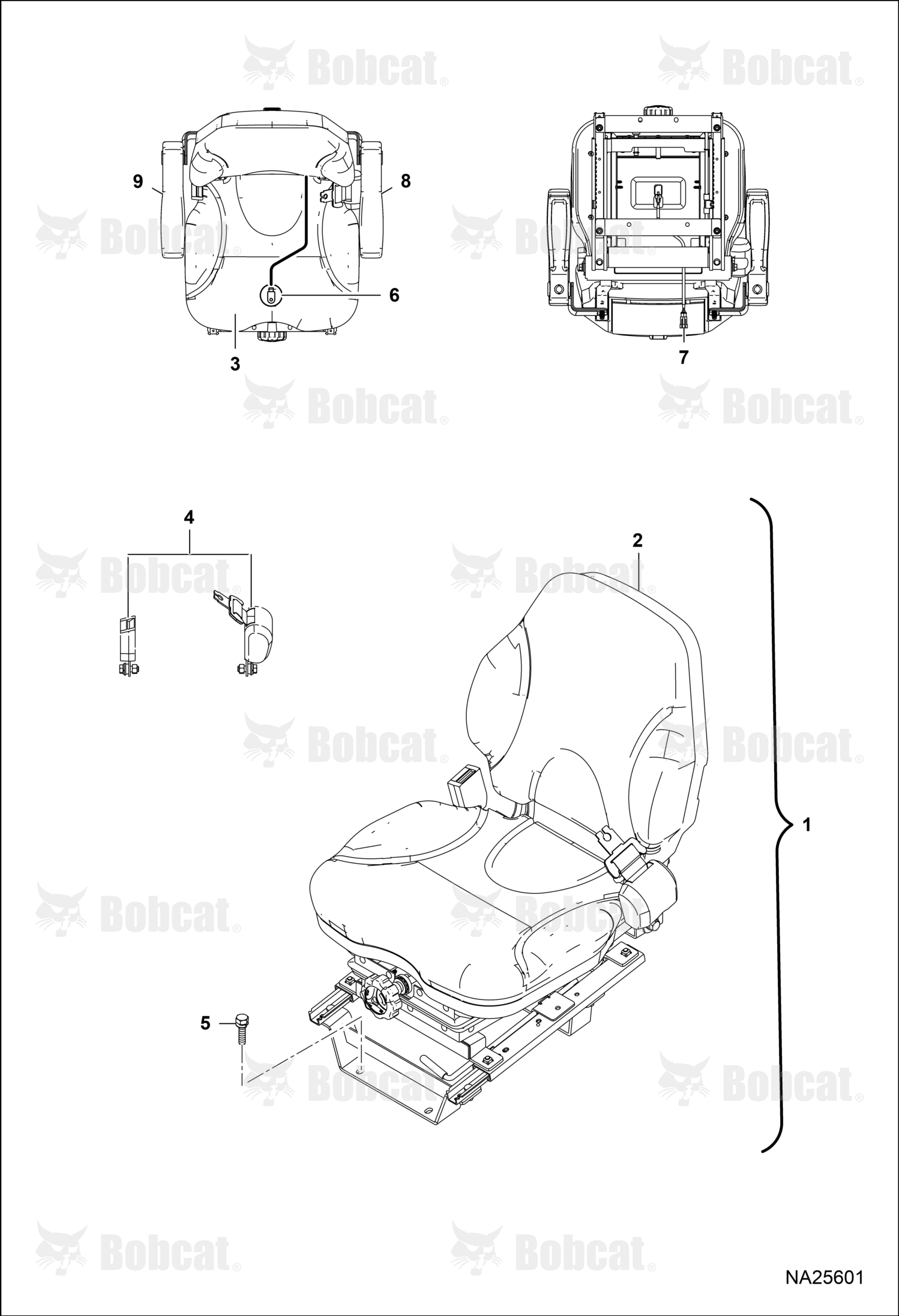 Belt Seat Assembly