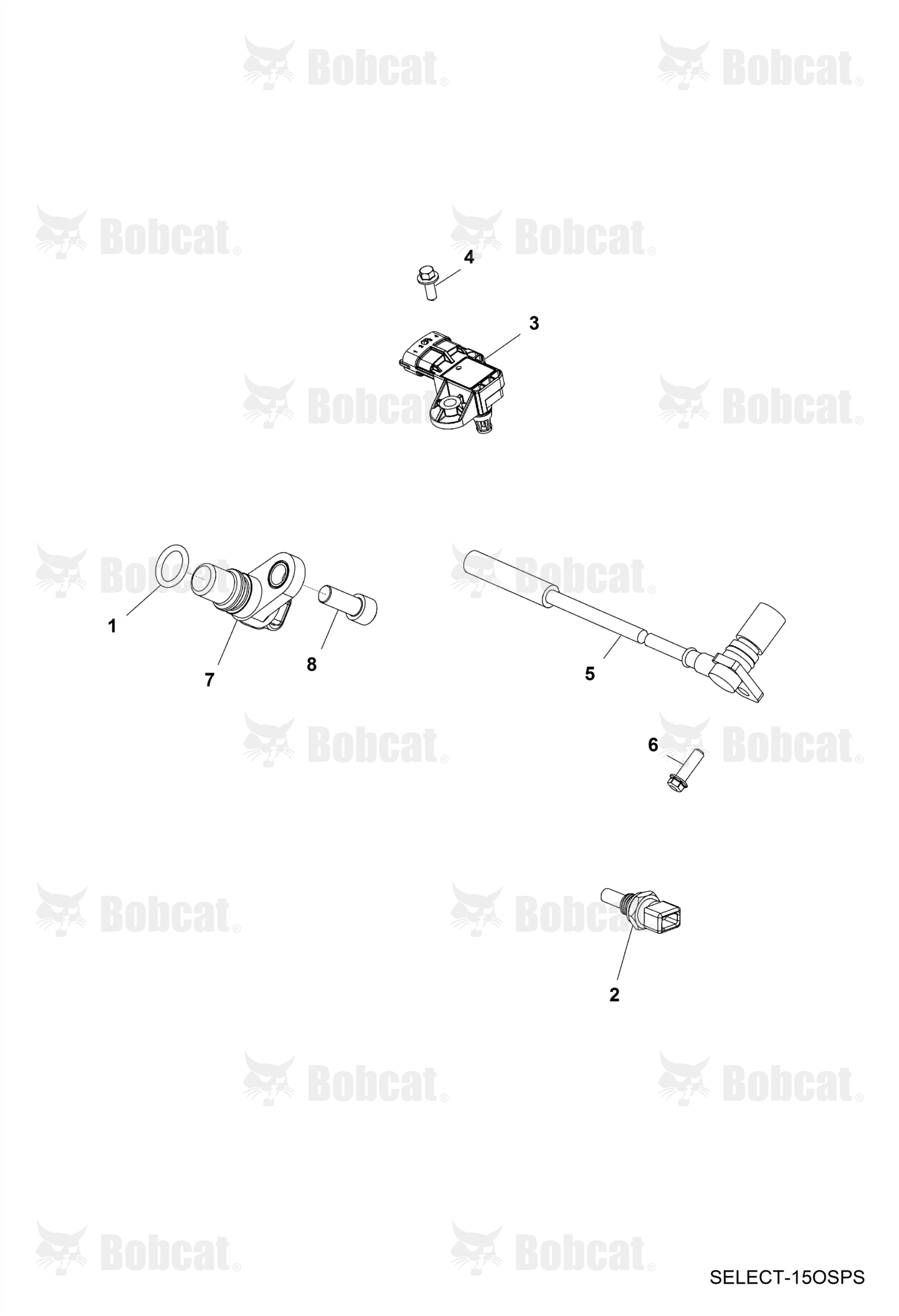 Bolt