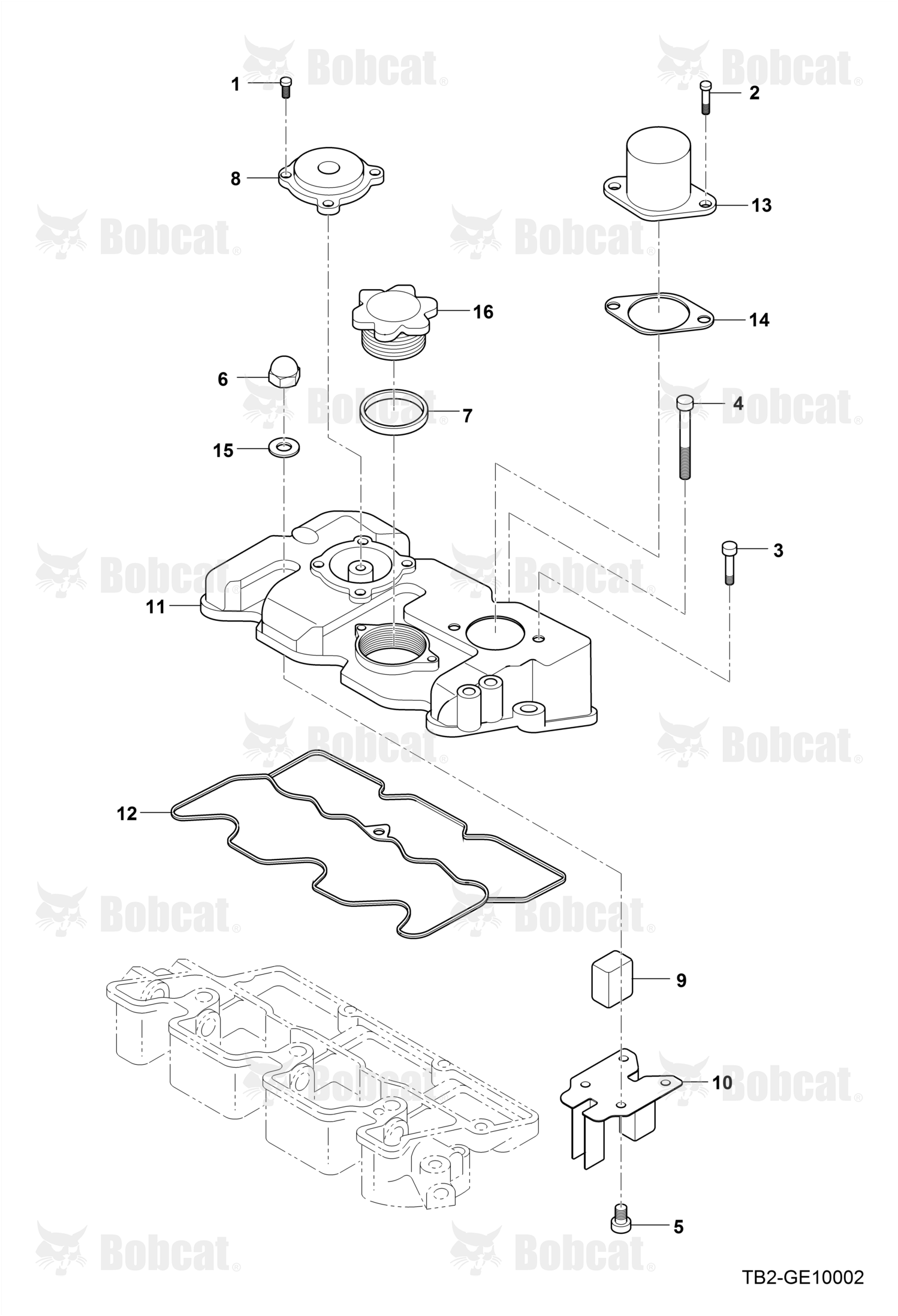 Bolt Hex