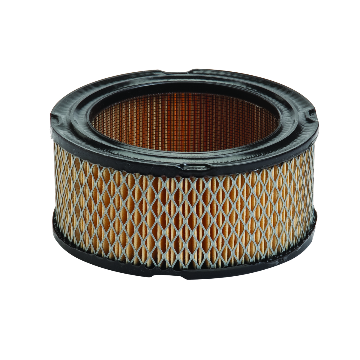 30-022 AIR FILTER BRIGGS