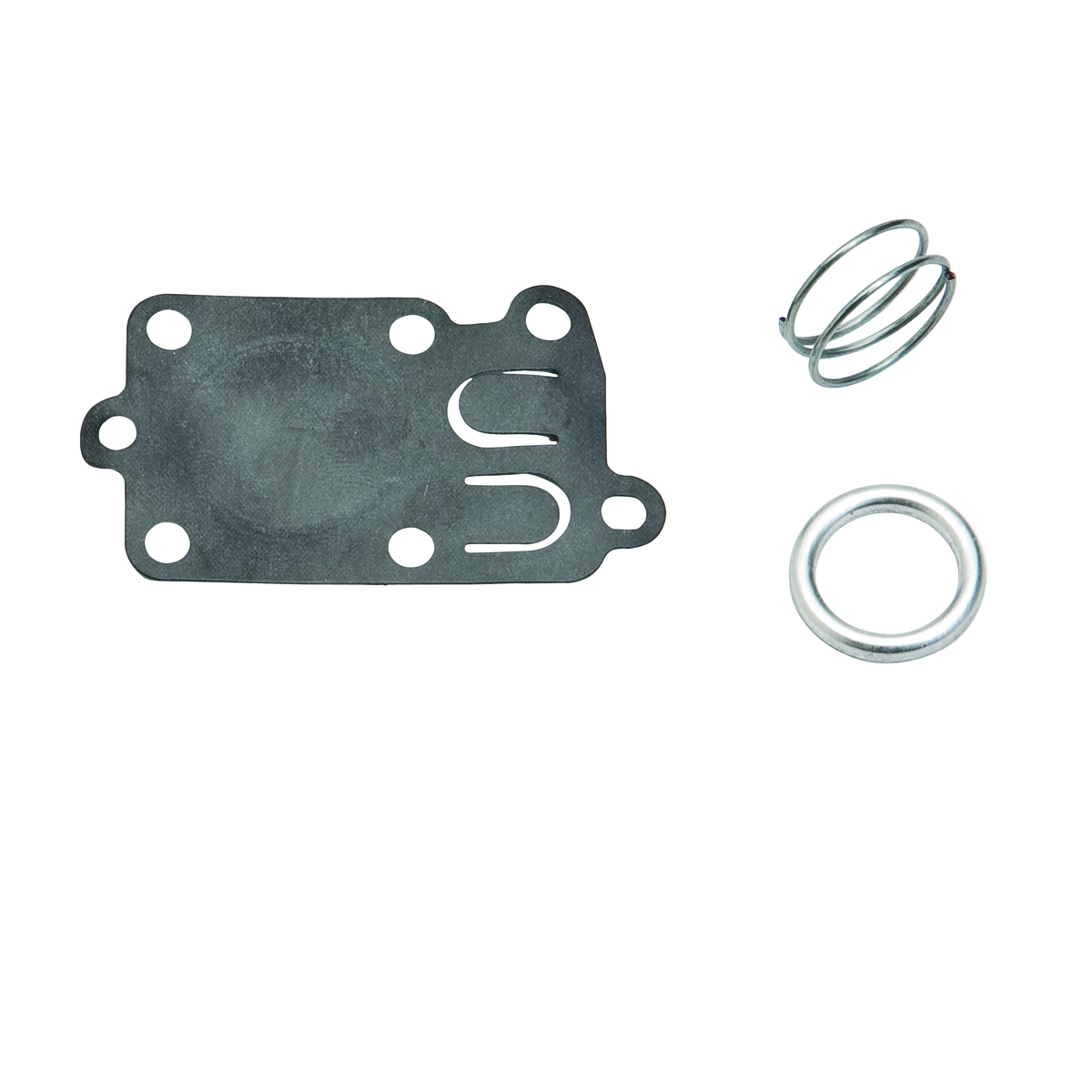 49-037 DIAPH KIT - BRIGGS