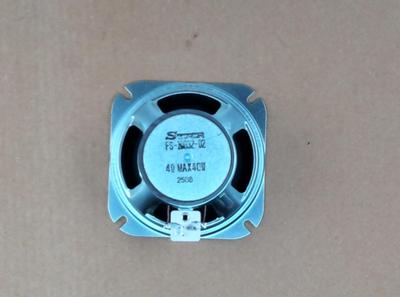 Speaker Audio