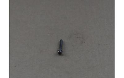 Screw W/sp&pl Ws