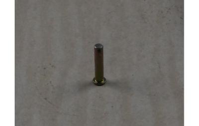 Pin Head