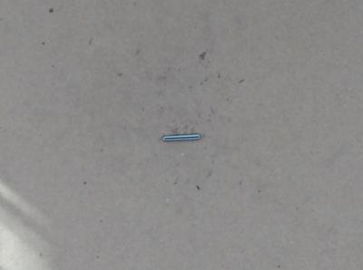 Pin Spring