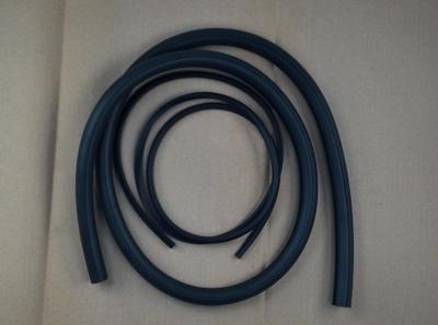 Weather Strip Trg869