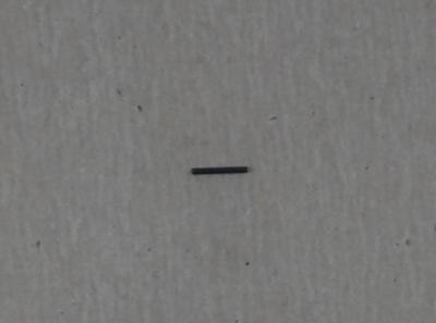 Pin Spring