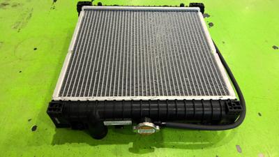 Radiator Assembly