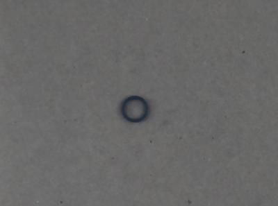 Ring Seal