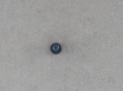 Screw Fpt