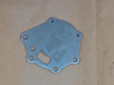 Water Pu Mhi Plate