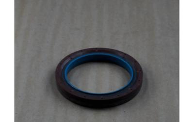 Oil Cnh Seal