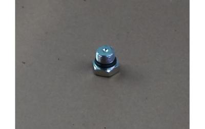 Plug O Ring