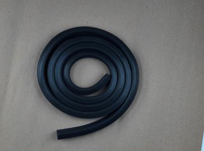 Weather Strip Side P