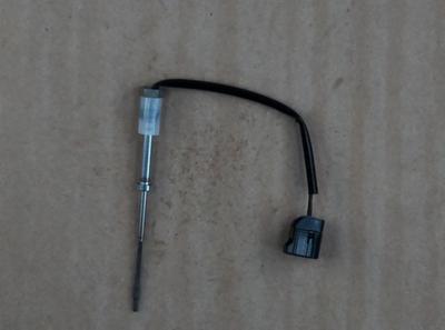 Sensor:ex Temp Perkins