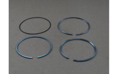Piston Rings Se Fpt