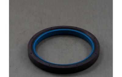 Seal Cnh