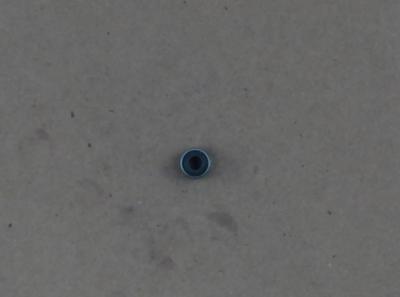 Valve Ste Yanmar Seal