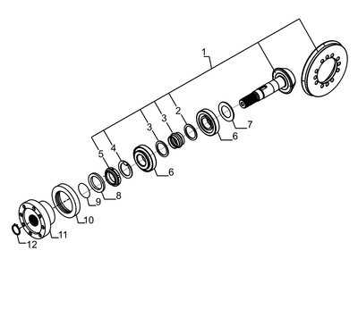 Snap Ring D.30 CA Carraro