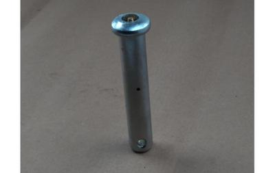 Pin Assy,ø40 147l Tsbh