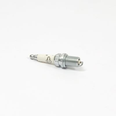 555737 PLUG-SPARK