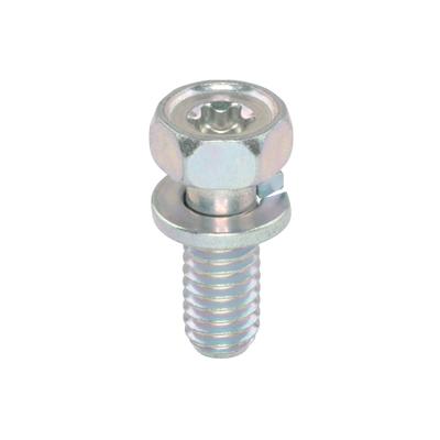 Screw